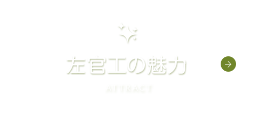 bnrhalf_attract_off